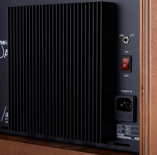 Acus One for Strings 10, 350 W, Wood (AD)