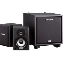 Roland CM-110: CUBE Monitor 2.1