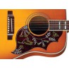 Gibson Hummingbird