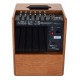 Acus One for Strings 6T, 130 W, Wood