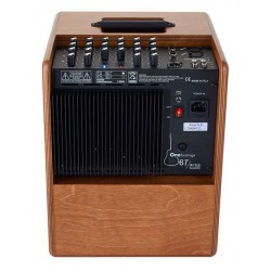 Acus One for Strings 6T, 130 W, Wood