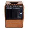 Acus One for Strings 6T, 130 W, Wood