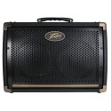 Peavey Ecoustic E208 Combo