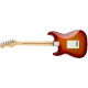 Player Stratocaster® Plus Top, Maple Fingerboard, Aged Cherry Burst