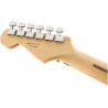 Player Stratocaster® with Floyd Rose®, Maple Fingerboard, Tidepool