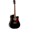 Tanglewood Winterleaf TW5 BK