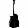 Tanglewood Winterleaf TW5 BK