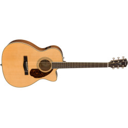 Fender  PM-3 Standard Triple-0, Natural