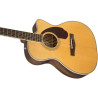 Fender  PM-3 Standard Triple-0, Natural