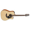 Takamine GD10CE NS