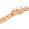 American Performer Telecaster® Hum