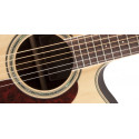 Takamine GD71CE-NAT