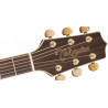 Takamine GD71CE-NAT