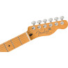 Player Plus Nashville Telecaster®