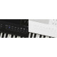 Kawai ES-920 B Digital Stage Piano Black