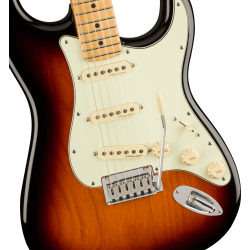 Player Plus Stratocaster®