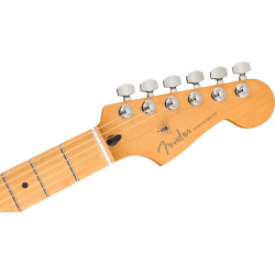 Player Plus Stratocaster®