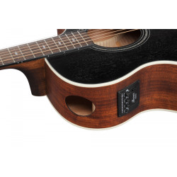 Ibanez AE140-WKH Western med mik