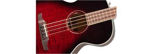 Fender  T-Bucket™ 300E Bass