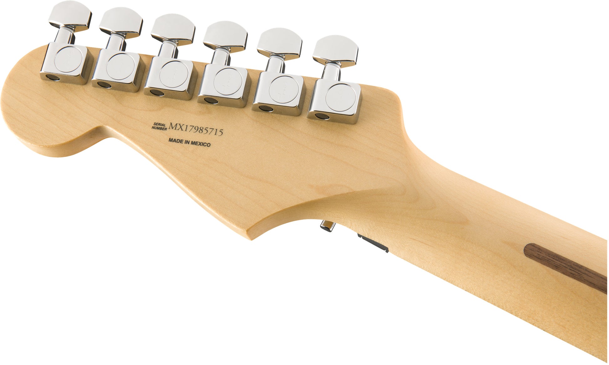 Player Stratocaster® with Floyd Rose®, Maple Fingerboard, Tidepool