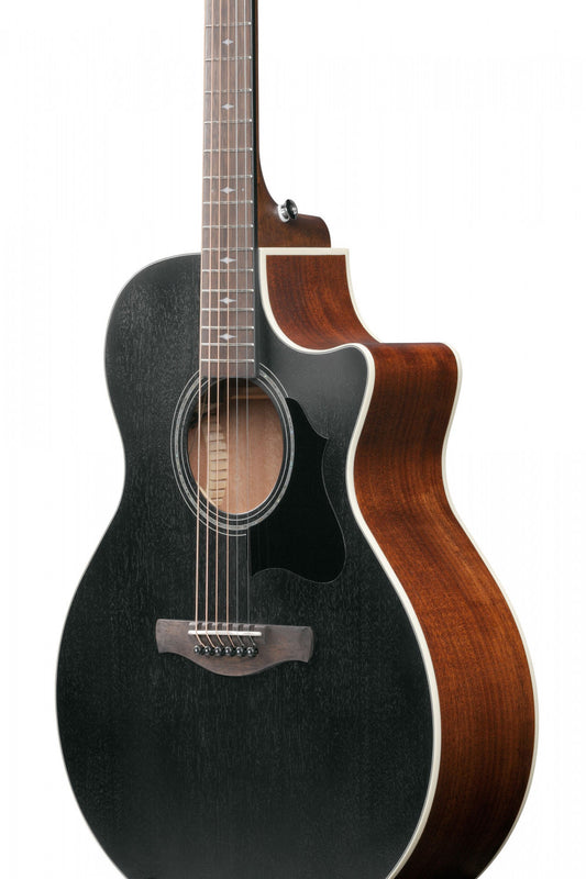 Ibanez AE140-WKH Western med mik